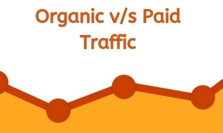 Organic v/s Paid Traffic