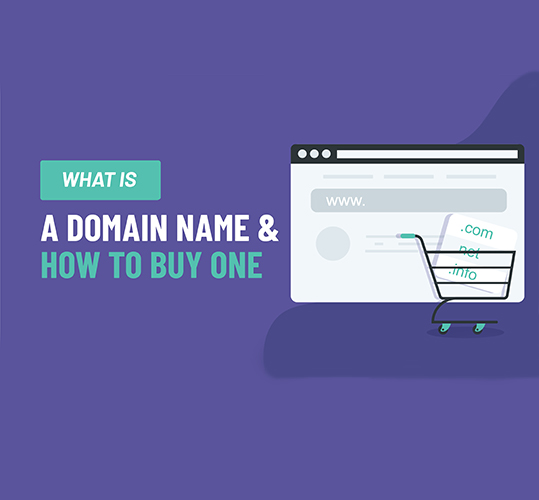 Buy a domain name