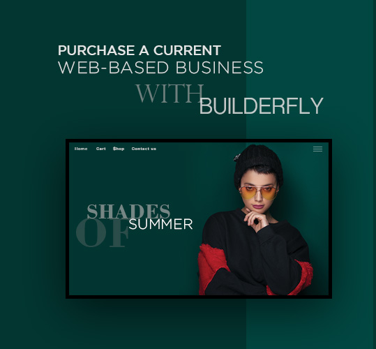 Purchase a current web-based business