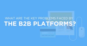 What are the critical problems faced by the B2B platforms?