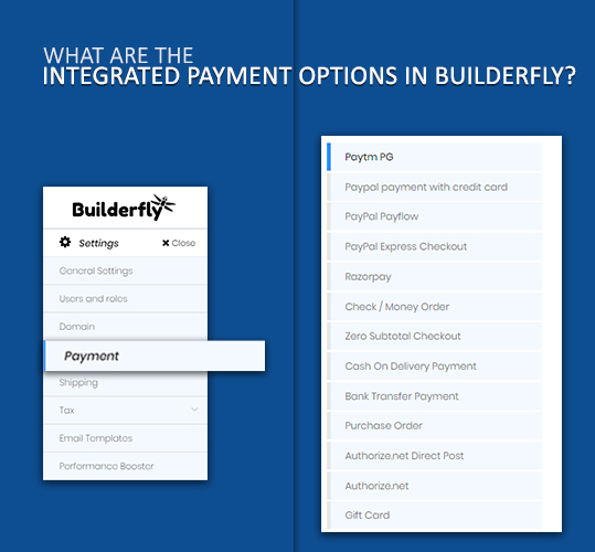 payment gateway options
