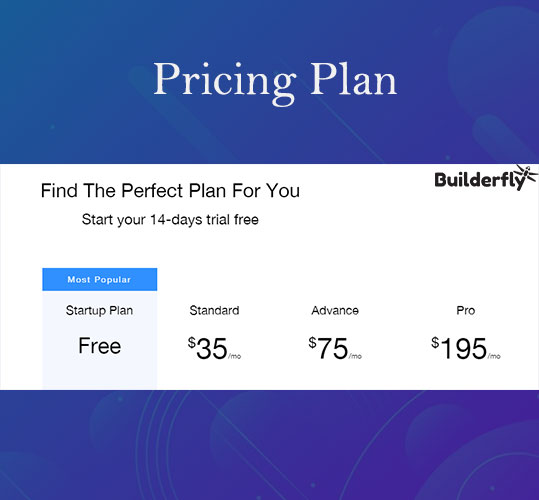 Builderfly Pricing Plan