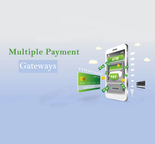 Multiple payment gateways