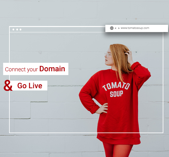Connect your domain and Go Live