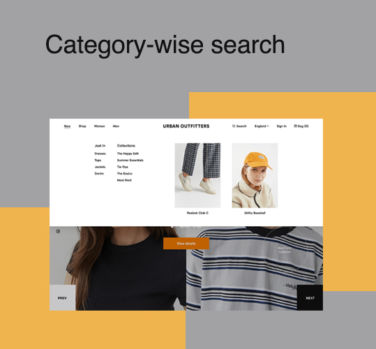 Category-wise search